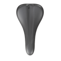 WTB Volt - Titanium